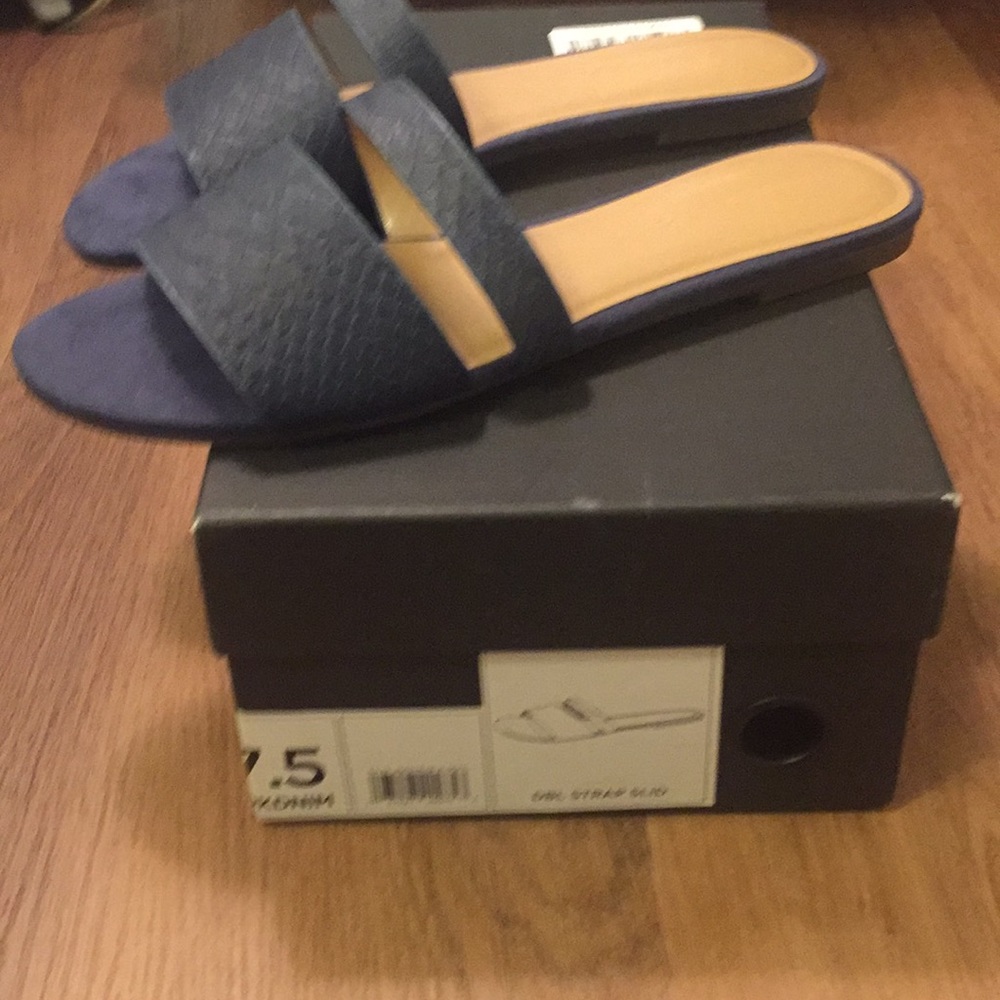 Banana Republic Navy Blue Sandals